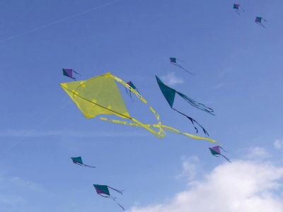 Voglia di volare
