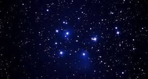 Viver la notte