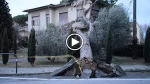 Pupazzo