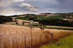 Filastrocca ambientalista