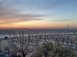 Brinata invernale