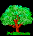 L'albero secolare