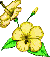 Miniera d'oro!