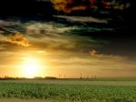 L�alba