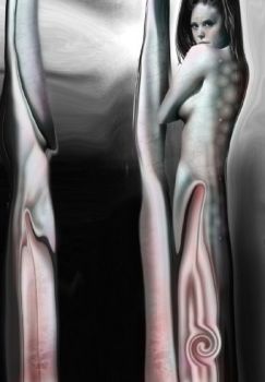 Linee Parallele