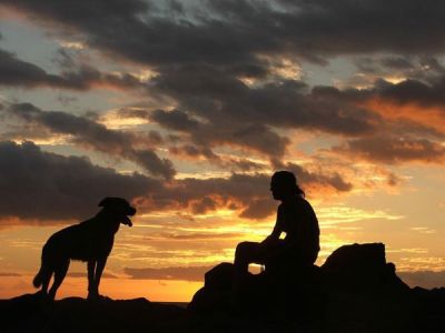 Silenzio si muore