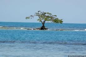 N'albero