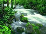 Seduta sulla sponda del fiume... ti aspetto