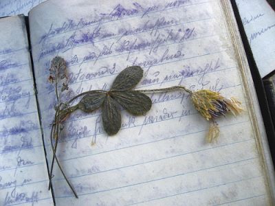 L'ultima pagina del sogno  