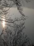 Riflesso di pensiero