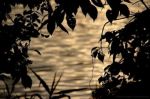 Quando il silenzio é molto più delle parole