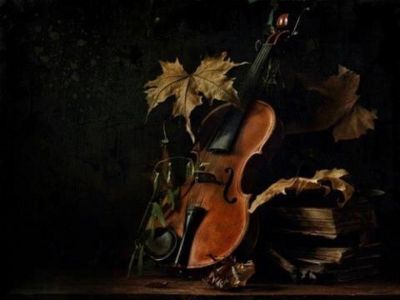 Carezze da sogno