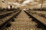 Come randagio, sempre pronta a partire