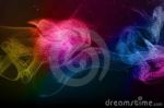 Nell'Ora Tarda dell'Amore