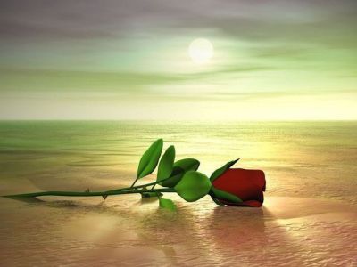 Falò d'amore