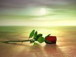 Fal� d'amore