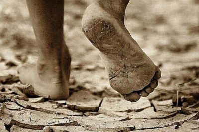 La vita � terra