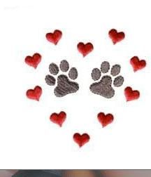 Orme sul cuore