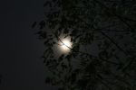 "Le lacrime della luna"
