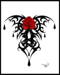 "Il primo sboccio della rosa"
