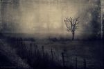 "Non c'� respiro"