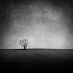 "Il vento dell'inverno"