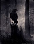 "Figli del demonio"