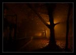 "Sogni di novembre"