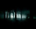 "Vento di palude oscura"