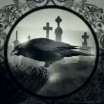 "L'eterna ombra"