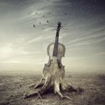 "La notte avr� piet�"