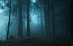 "Una notte nella terra delle fate"