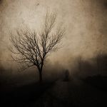 "Il nero dolore delle stelle"