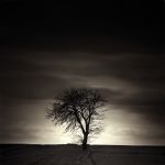 "Lo scrigno delle risposte"