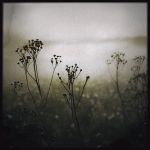 "Se sar� un'altra terra"