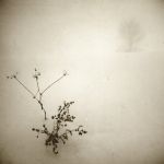 "L'inverno era un'altra cosa"