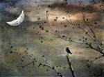 "Tredici lune"