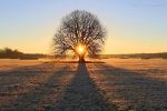 "L�inverno sottile dei nostri giorni"