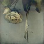 "Vivo nell�ombra"