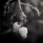 "L�estate � gi� antica"
