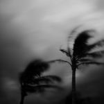 "Sar� un vento notturno"