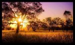 "Foglia d�autunno"