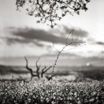 "Le mie rune sulla roccia"