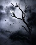 "Il canto dell�inverno"