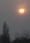 "Al sole d�inverno"