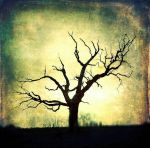 "Con il vento d�estate"