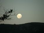 "La notte non ha pi� lune"