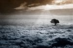"Col canto d�Ottobre"