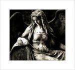 "L�amore delle lune"
