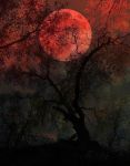 "Sangue alle lune d�ottobre"